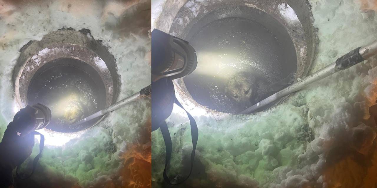 Köpeğin imdadına itfaiye koştu! Düştüğü kuyudan çıkarıldı