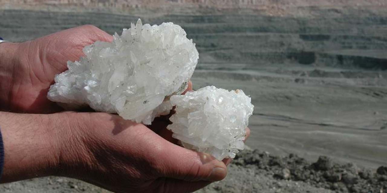 Kanser tedavisinde çok etkili: Dünyada en çok Türkiye’de çıkıyor