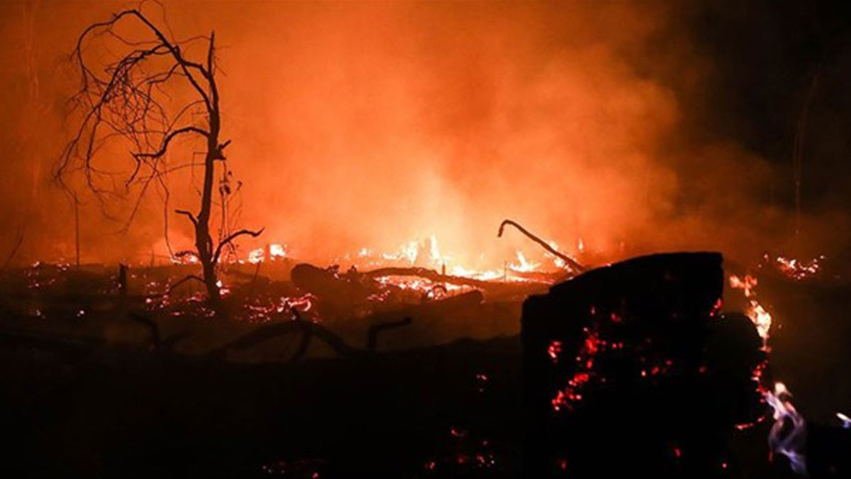Bolivya'daki yangında 2 milyon hektar alan kül oldu