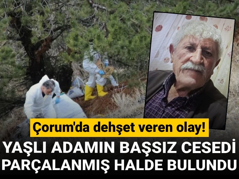 Yaşlı adamın başsız cesedi parçalanmış halde bulundu