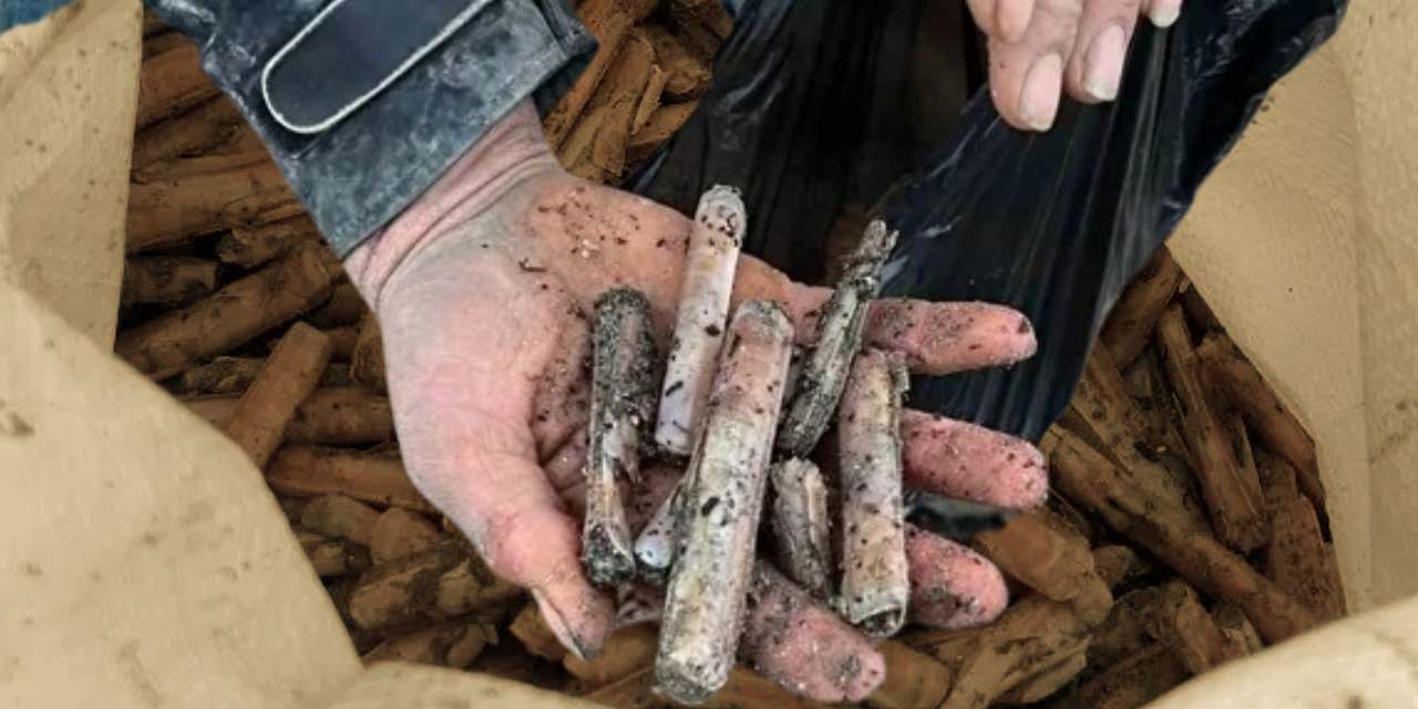 Sahilde bir anda ortaya çıktı görenler kapış kapış topladı: Japonya'da servet bu