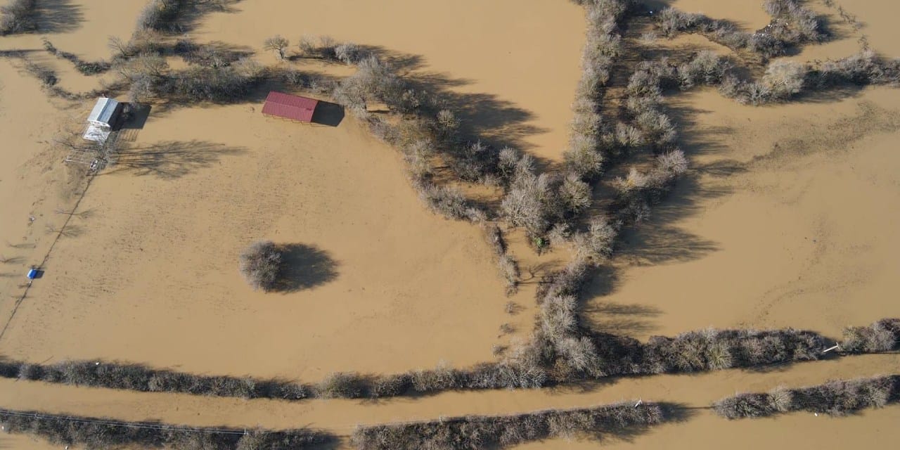 Muğla’yı sel vurdu! Tarlalar göl oldu