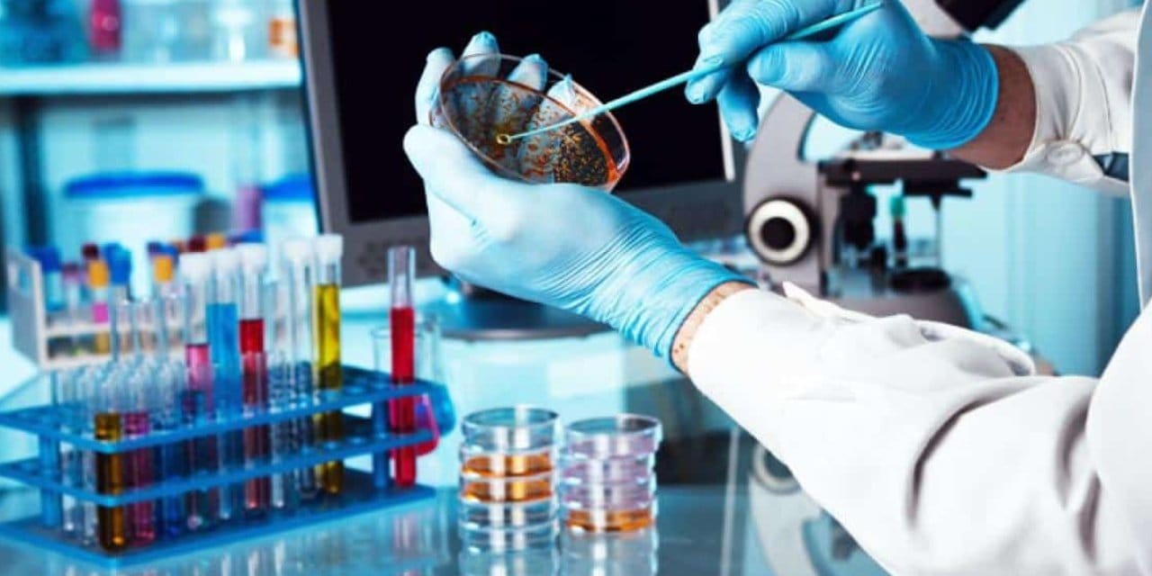 Çiçek hastalığından sonra ilk kez bir hastalık daha yok olmaya yaklaşıyor!