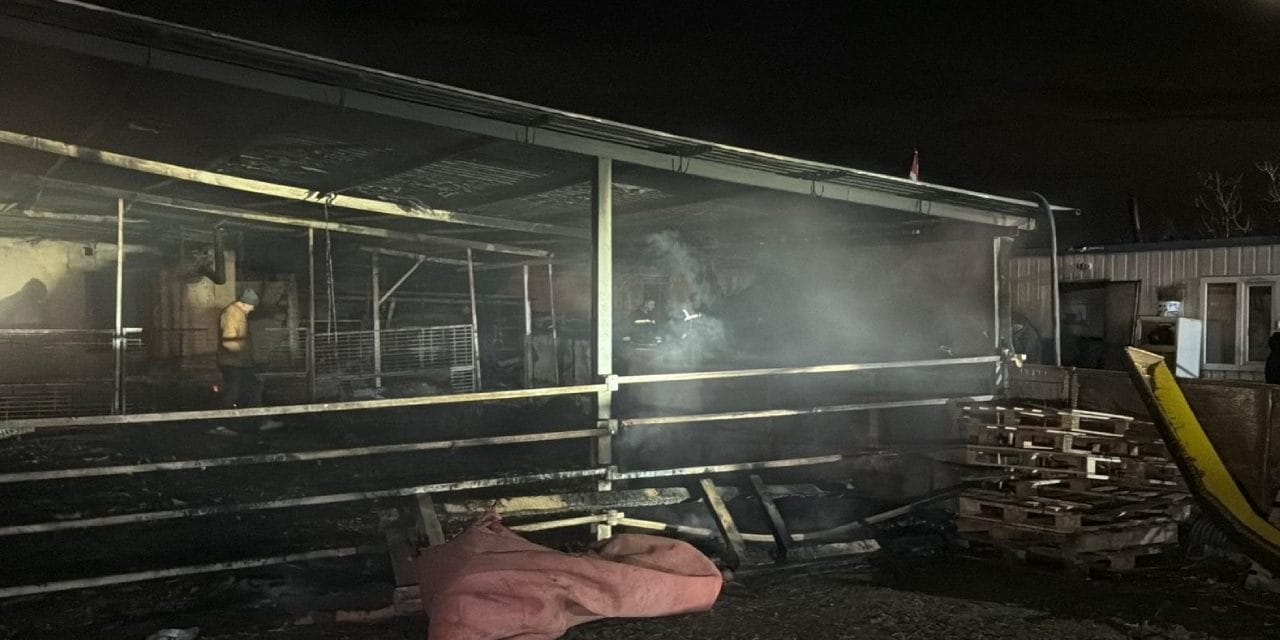 Tekirdağ'da korkutan yangın! Ahır küle döndü: 60 küçükbaş öldü