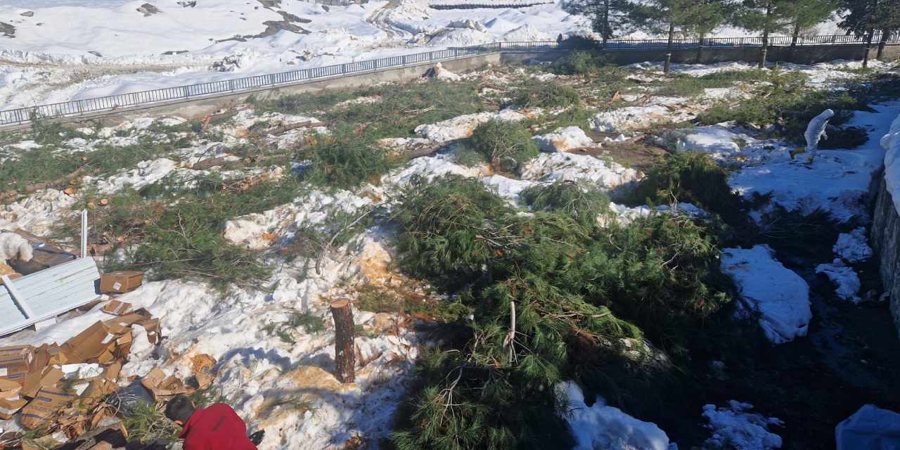 Çağlayancirit’te tek ağaçlık alan da kesildi: O proje tepkilere neden oldu!