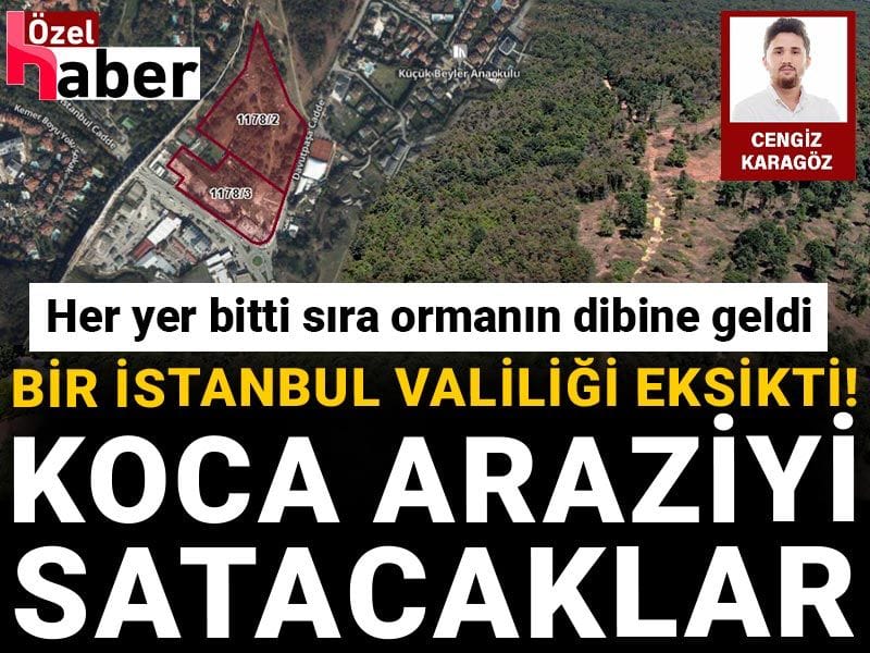 Bir İstanbul Valiliği eksikti! Koca araziyi satacaklar: Her yer bitti sıra ormanın dibine geldi