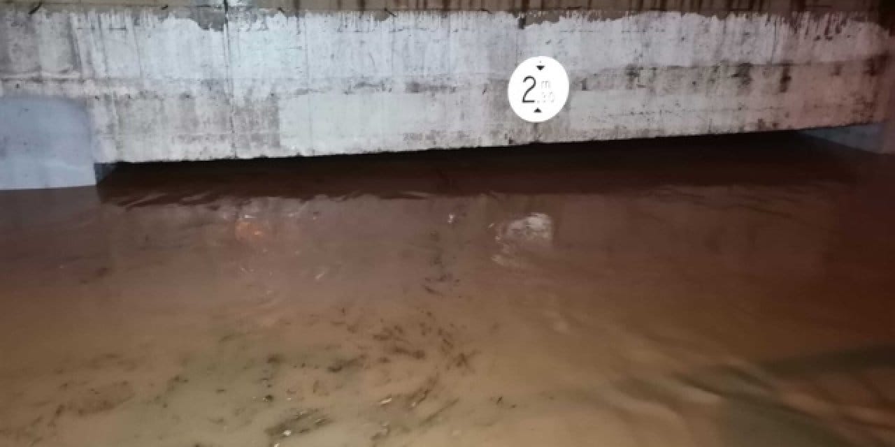 İzmir’i fırtına vurdu: Sağanak can aldı, 500 yıllık çınar devrildi