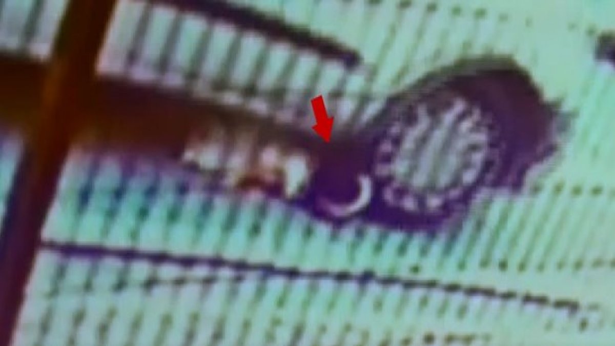 Korkunç kazada mucize kurtuluş! Minik Zeynep'in ölümden döndüğü anlar kamerada