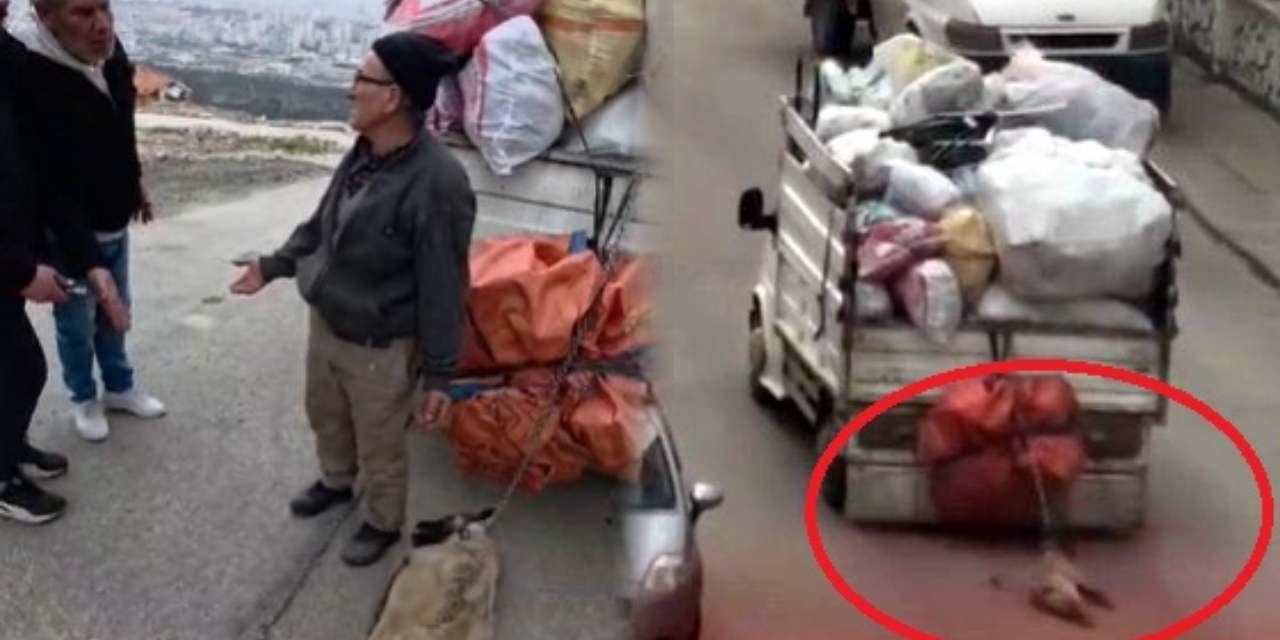 Ankara'da insanlık dışı görüntü! Köpeği kamyonetin arkasına bağlayıp sürükledi