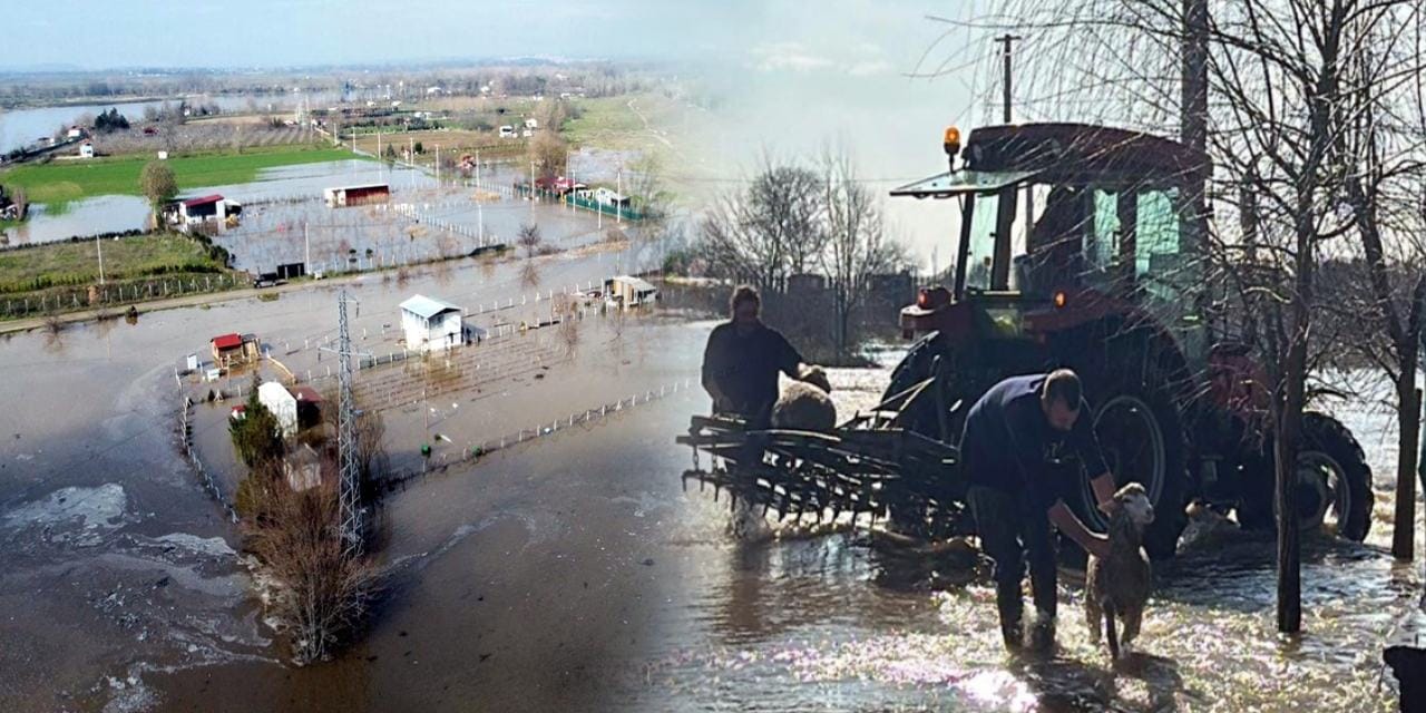 Meriç Nehri taştı: Çiftlikler ve tarım alanları sular altında kaldı