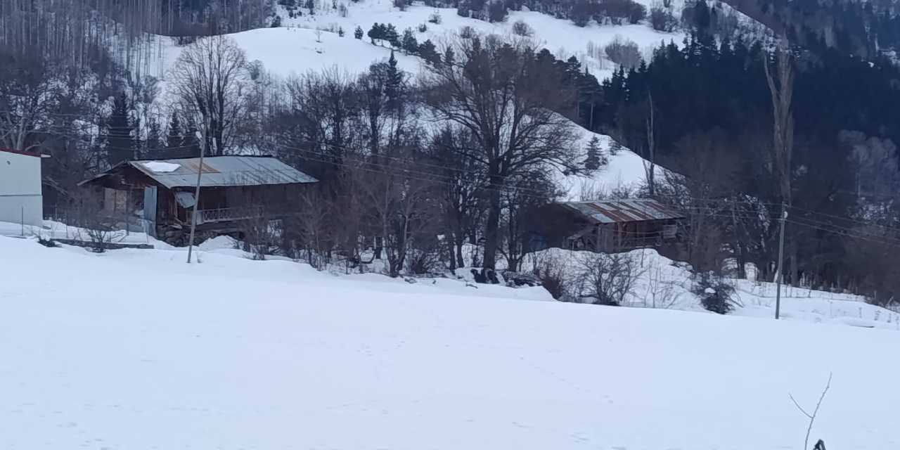 Sadece 2 kişinin yaşadığı köyde muhtar öldü: Eşi de terk ediyor!