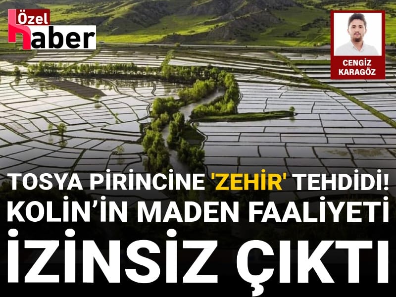 Tosya pirincine 'zehir' tehdidi: Kolin’in maden faaliyeti izinsiz çıktı