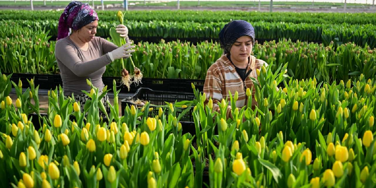 Su dolu kasalar içerisinde bekletiliyor: Türkiye'nin dört bir yanına gönderiliyor