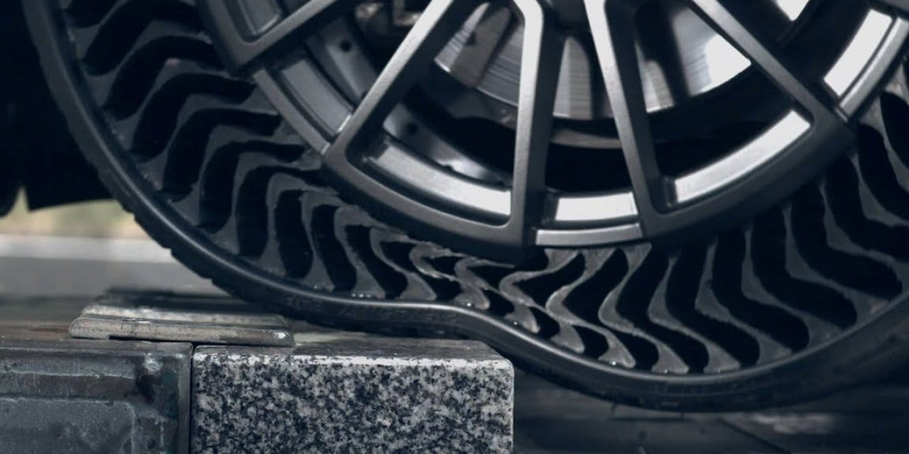 Gizemli balık ölümlerinin arkasında otomobil lastik şirketleri mi var? Dev dava sürüyor!