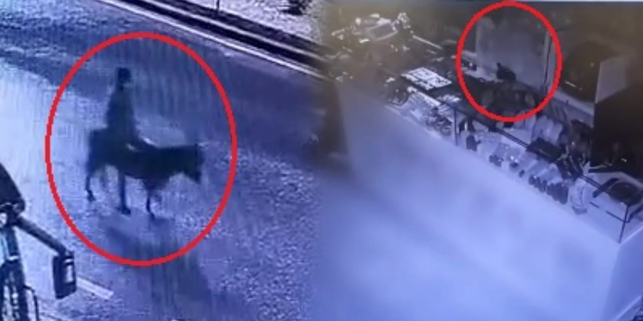 Kayseri'de bir tuhaf soygun: Forkliftle geldi eşekle kaçtı