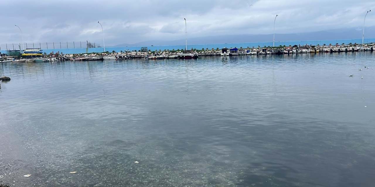 5 yaşındaki çocuğun ölümünde anneden kan donduran itiraf: Ölmek istiyorum dedi denize ittim