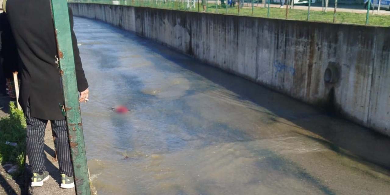 Samsun'da derede erkek cesedi bulundu