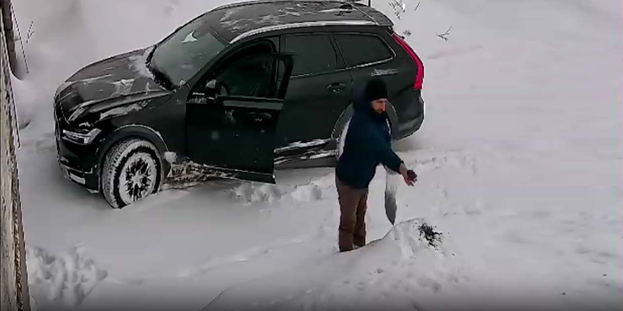Eksi 25 derecede çil keklikleri görüntülendi: Diyarbakırlı fotoğrafçı fırsatı kaçırmadı