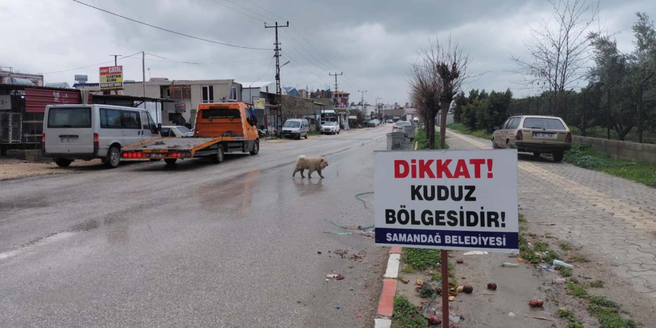 Hatay'da kuduz alarmı: 4 mahalle karantinaya alındı