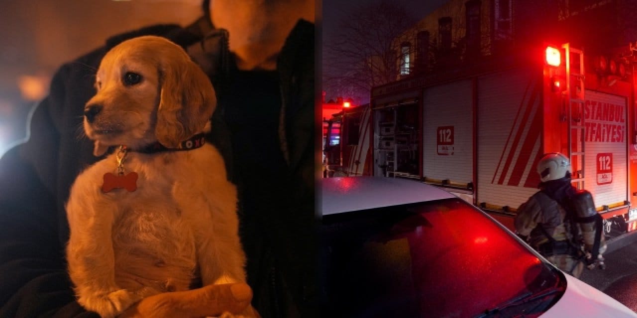 Kağıthane’de korkutan yangın: 11 kişi ve bir köpek kurtarıldı