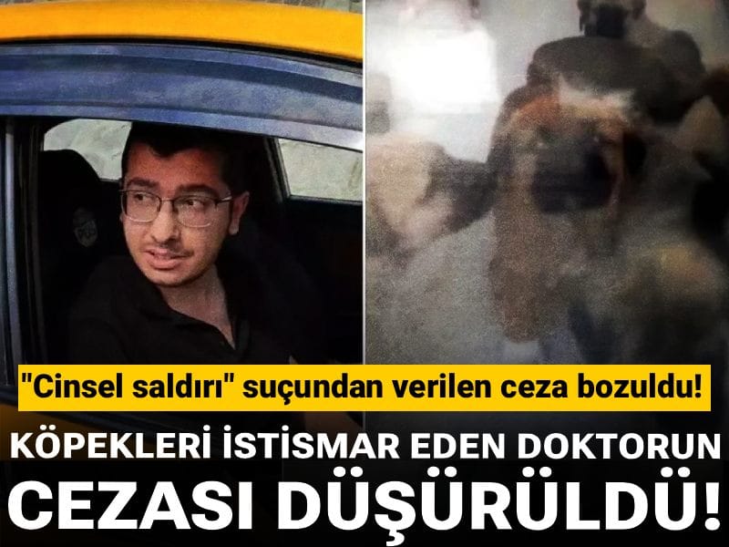 Köpekleri istismar eden doktorun cezası düşürüldü!