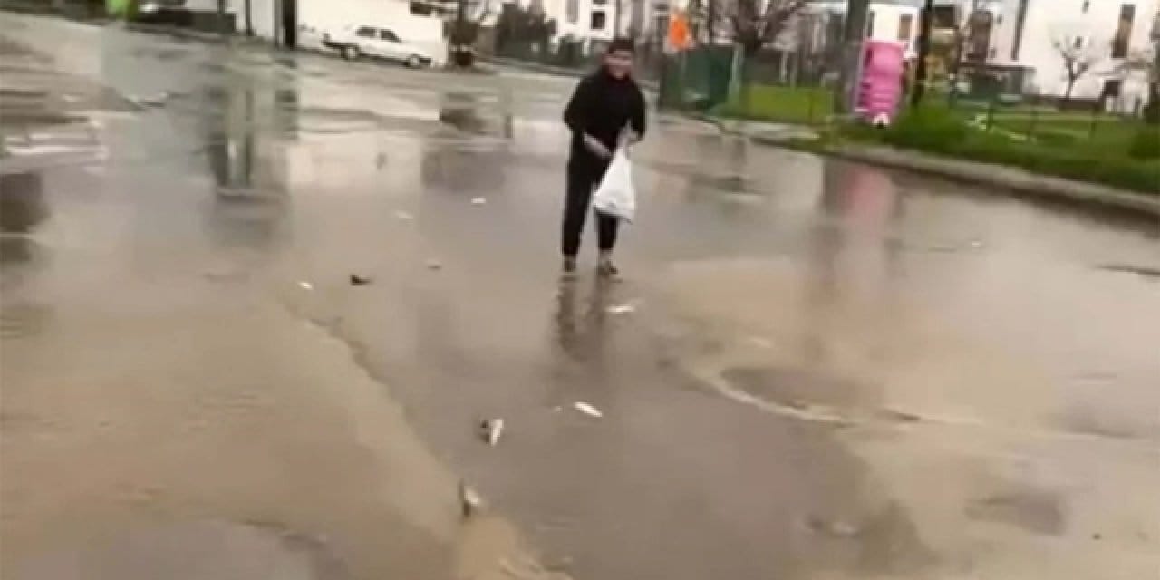 Bodrum’u vuran sağanakta ilginç görüntüler: Gölet taştı vatandaş saçılan balıkları topladı