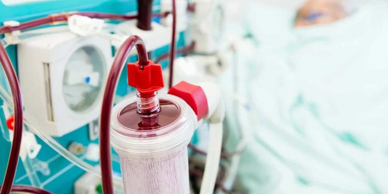 Kanını "süzdürdü" 2.2 milyon lira ödedi! İşte ünlülerin yeni gençlik formülü