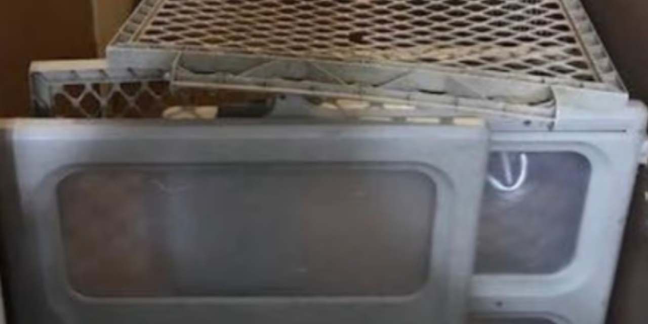 Caniliğin bu kadarı! Evlat edindiği çocukları şeker istedikleri için kafese kapattı