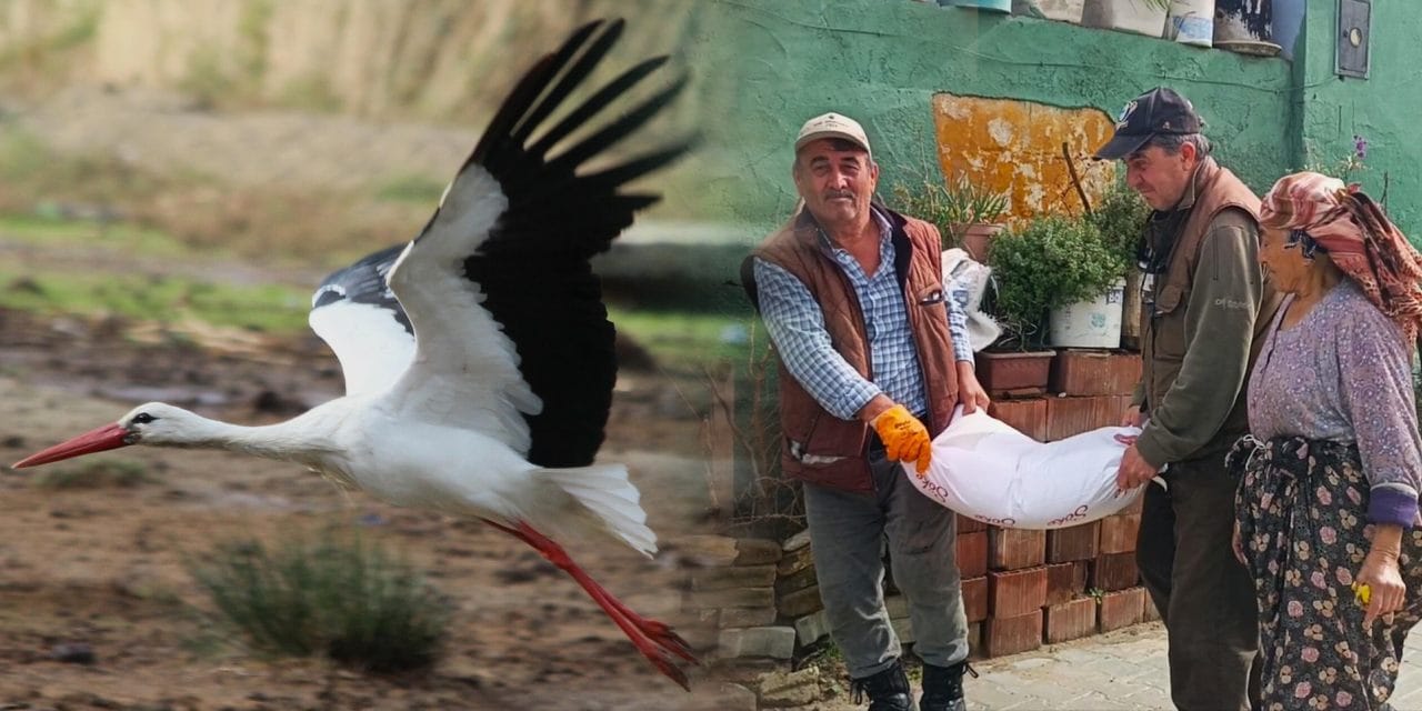 Yılın ilk leyleğini gördü: Bir çuval un kazandı