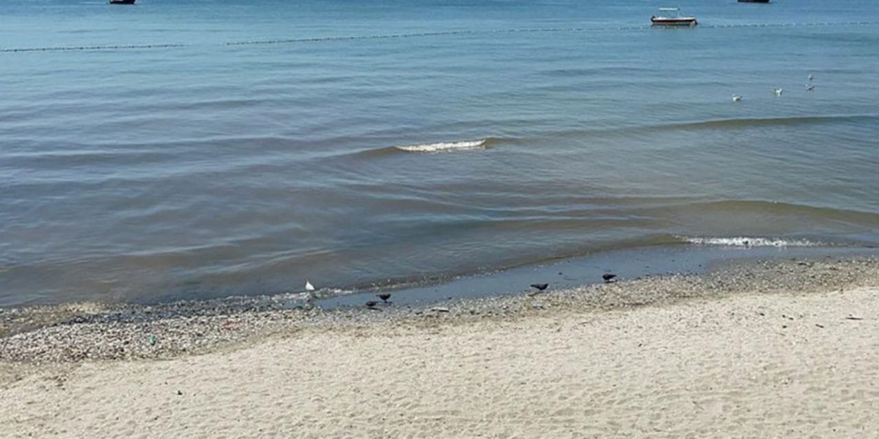 Balıkesir'de sahilde kadın cesedi bulundu