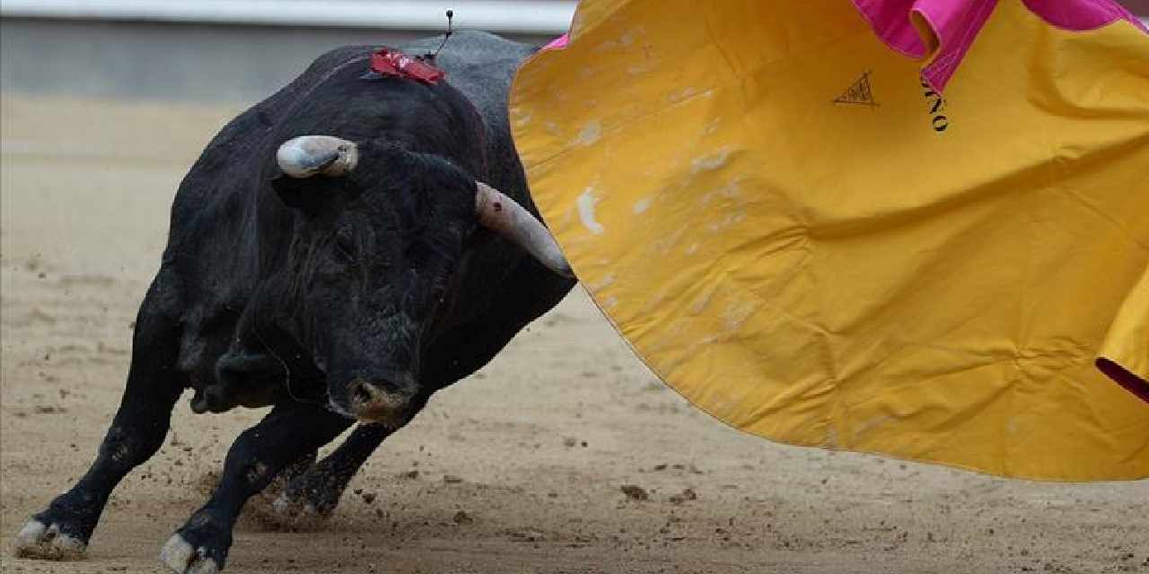 40 yıl sonra bir ilk: Boğa Karnavalı ölümle sonuçlandı