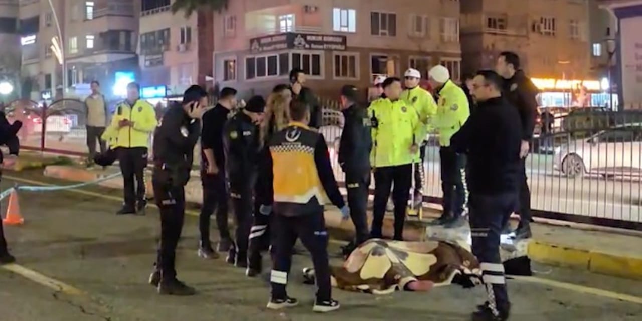 Şanlıurfa’da acı olay! Otomobilin çarptığı genç kadın öldü