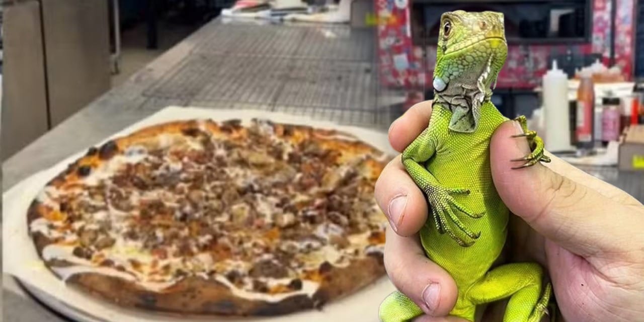 Florida’da sınırları zorlayan pizza gündemde