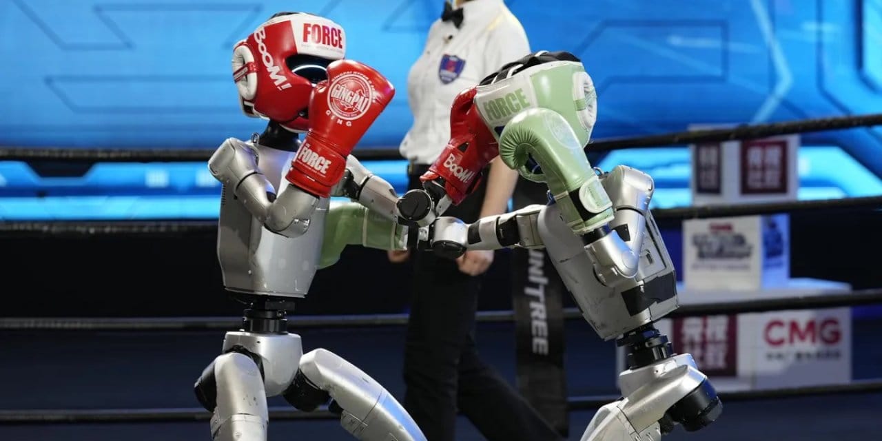 Geleceğin gladyatörleri: Çin'de "robot boksu" ringleri ele geçirdi