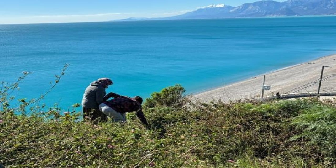 Ağır otizmli gence nakil kararı anneyi 40 metrelik falezlere çıkardı