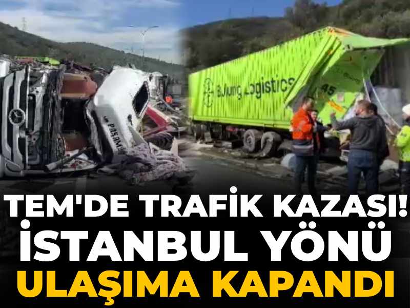 TEM'de trafik kazası! İstanbul yönü ulaşıma kapandı