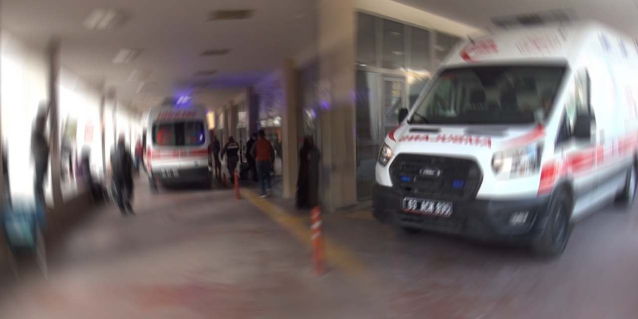 Biri 2, diğeri 11 yaşındaydı… Üzerlerine demir düşen iki kardeş can verdi