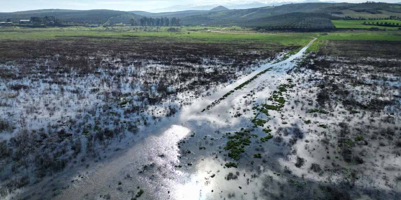 20 bin su kuşuna ev sahipliği yapıyor: Marmara Gölü yeniden su tutmaya başladı