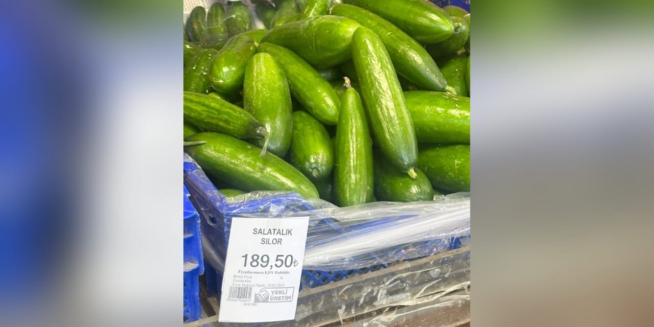 Bir kilo salatalık 200 liraya dayandı! "Memleketin geldiği son nokta"