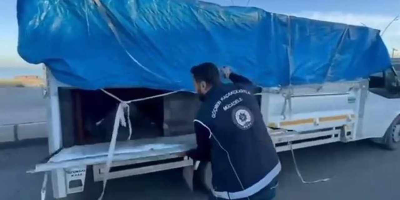 Hayvan dışkısıyla kamufle edilen bölmeden kaçak göçmen çıktı