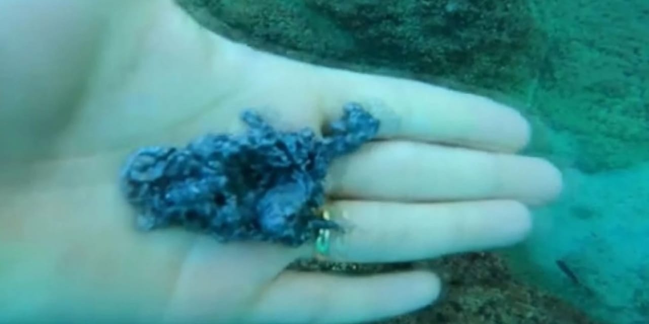 Dalgıç gördüklerine inanamadı: Antalya’da deniz dibi büyüyle dolu