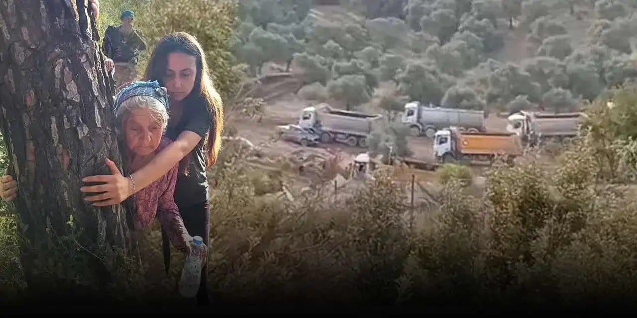 Meclis'te Milli Parkların özelleştirilmesi için oylama yapılacak! İlk 5 madde kabul edilmişti