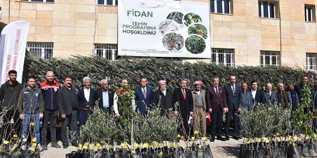 Şırnak’ta çiftçilere 25 bin 200 fidan dağıtıldı