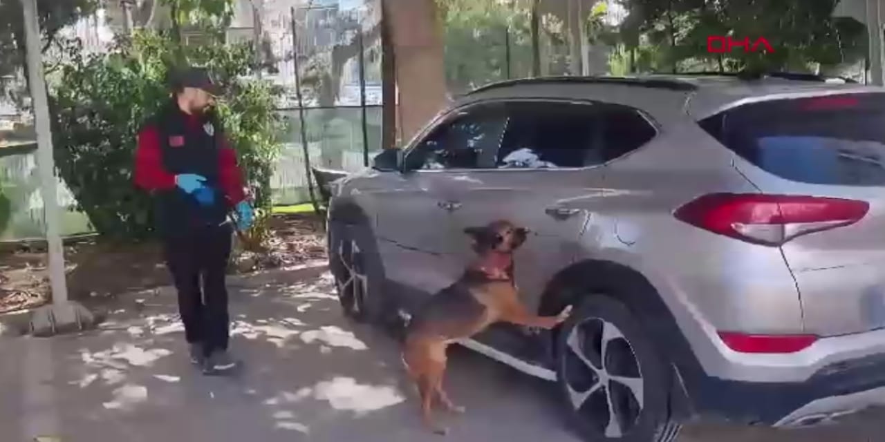 Cipte 27 litre sentetik uyuşturucu ele geçirildi! 3 şüpheli tutuklandı