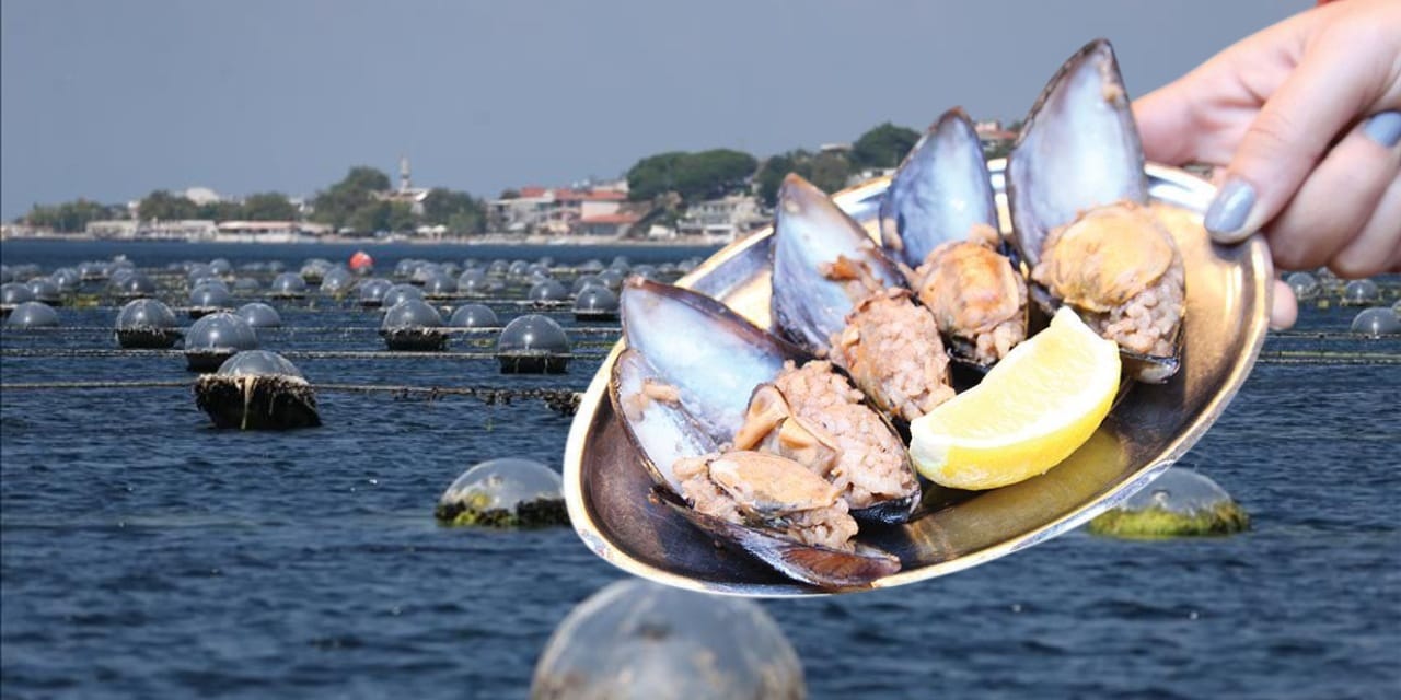 Midyelerde büyük tehlike! Halk sağlığını tehdit ediyor