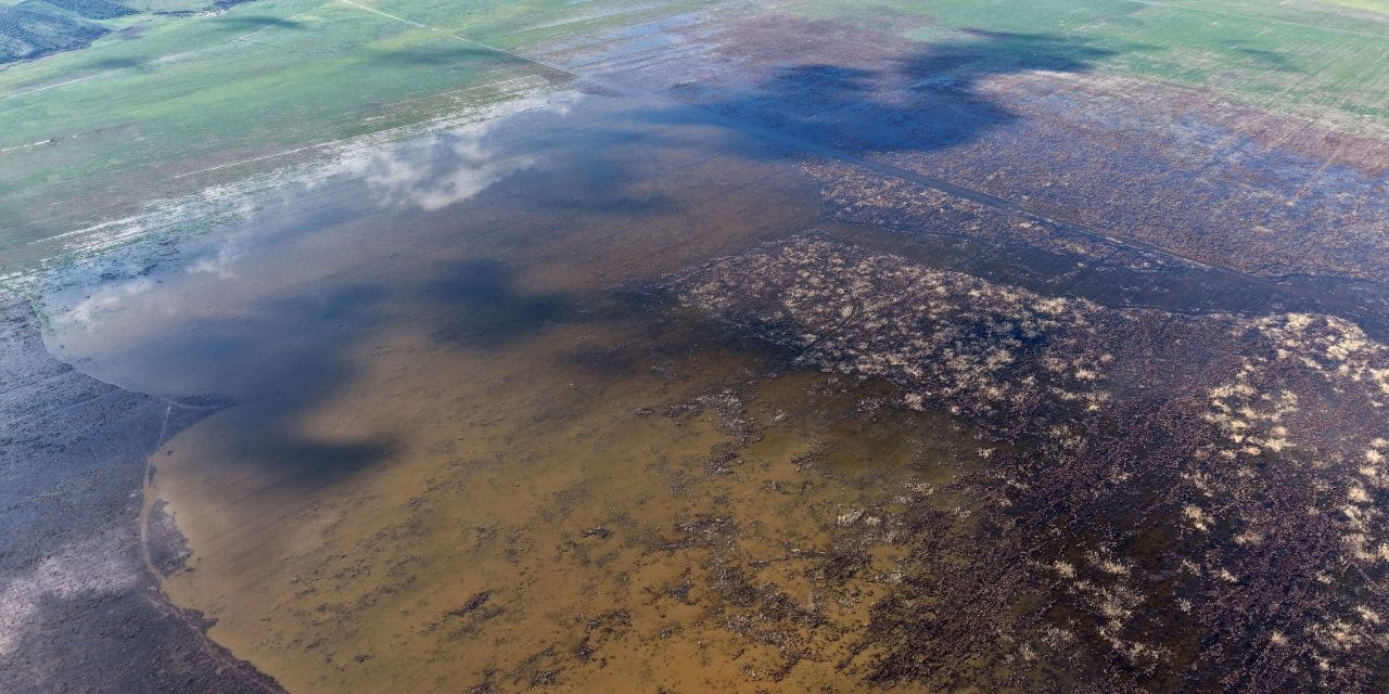 5 yıl süren kuraklık bitti: Çatlayan toprakla anılan Marmara Gölü canlandı