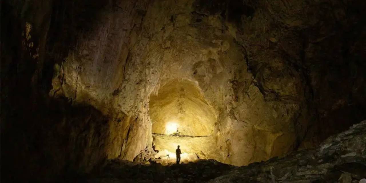 Güneşsiz fotosentez şaşkına çevirdi! "Uzayda yaşam olabilir"