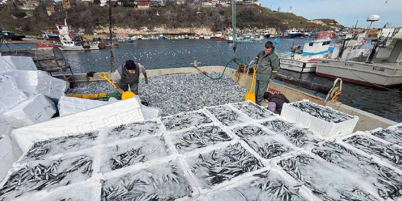 Kırklareli'nden yola çıktılar: 6 saatte 30 ton avladılar