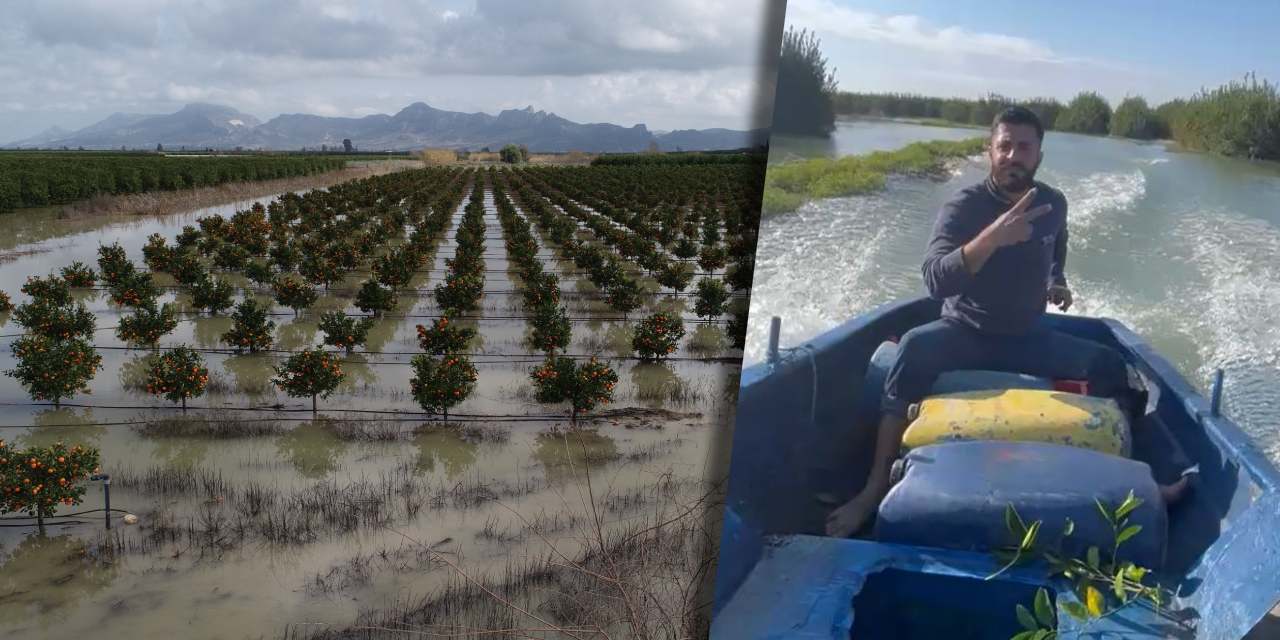 Deniz değil narenciye bahçesi: Adanalı çiftçi serasına gitmek için kayık kullandı!