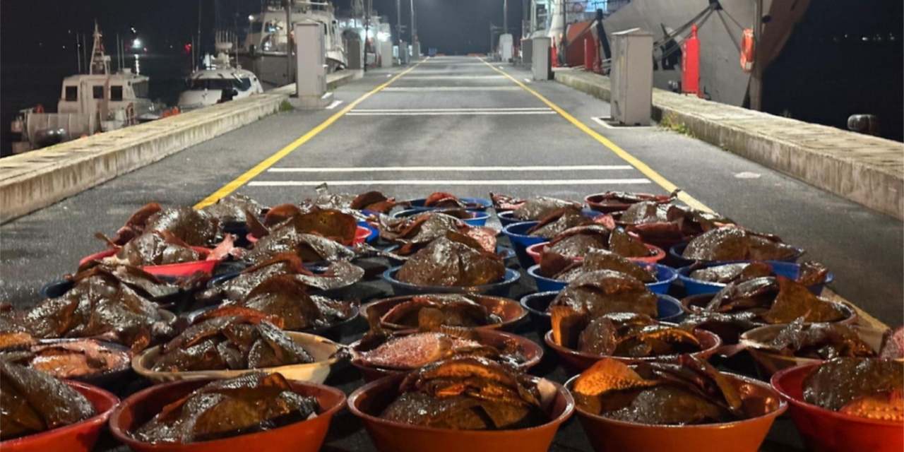 Denizin ortasında tonlarca ele geçirildi: Kova kova kıyıya taşındı